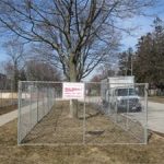 Temporary chain link fence panel rentals for tree protection